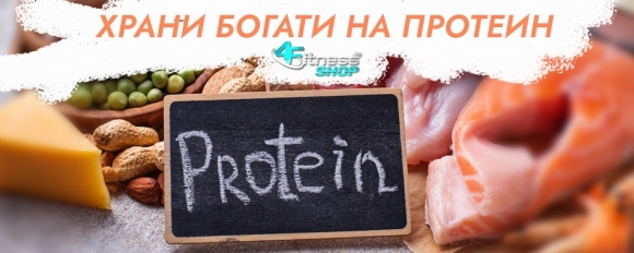Храни богати на протеини. Ползи от приема на аминокиселини и протеини