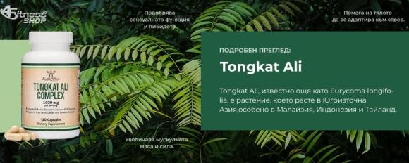 Какво е Tongkat Ali, произход, ползи, свойства и примерни дози