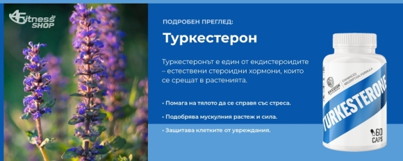 КАКВО Е ТУРКЕСТЕРОН, ПОЛЗИ, СВОЙСТВА И ПРИМЕРНИ ДОЗИ