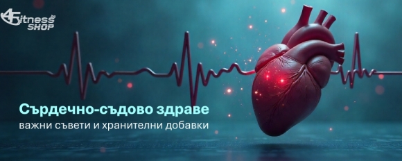 Сърдечно-съдово здраве и подходящите хранителни добавки