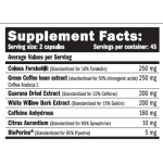 Amix Nutrition ThermoCore ™ Professional 90 капсули на супер цена