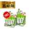 Sport Definition 1+1 FREE L-Carnitine 3000 Shot / 12x80 мл
