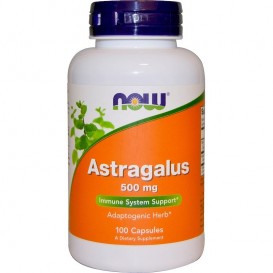 NOW Astragalus 500mg 100 caps