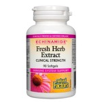 Natural Factors ECHINAMIDE® Fresh Herb Extract / 90 гел капсули на супер цена