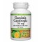 Natural Factors Garcinia Cambogia 750 мг / 90 таблетки
