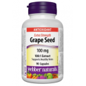 Webber Naturals Grape Seed Extract 100:1/ Гроздово семе 100 mg x 90 капсули на супер цена