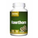 Jarrow Formulas Hawthorn (глог) 100 капсули/ 500 мг на супер цена