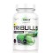 Genius Nutrition TRIBULUS / 90 Tabs