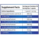 HS Labs CLA, Green Tea, L-Carnitine 90 капсули на супер цена
