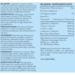 KFD Nutrition Premium X-BCAA - Apple Pear 500 гр на супер цена