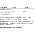 NATURAL FACTORS BlueRich Super Strength Blueberry Concentrate / 90 гел капсули на супер цена