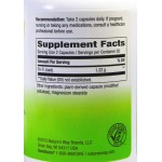 Natures Way Fo-Ti Root/ Фо-Ти (корен) 610 mg x 100 капсули на супер цена
