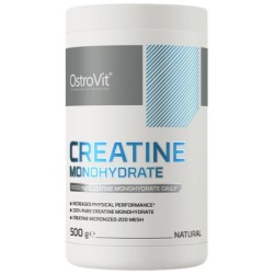 OstroVit Creatine Monohydrate Powder 500 гр / 200 дози