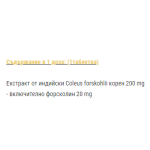 SFD COLEUS FORSKOHLII 90 таблетки на супер цена
