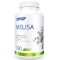 SFD Lemon Balm (Melisa) 180 таблетки