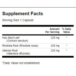 Swanson Rhodiola Holy Basil Valerian Stress Comp 180 капсули на супер цена