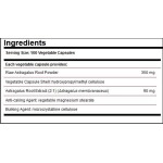 Solgar Astragalus Root 100 капсули на супер цена