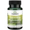 Swanson Standardized Boswellia Phytosome 60 веге капсули